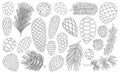 Cone pine isolated outline set icon. Vector illustration spruce pinecone on white background. Vector outline set icon Royalty Free Stock Photo