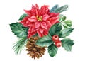 Cone, poinsettia and holly. Christmas decoration on white background, watercolor drawings. Xams Clipart