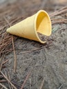 Cone spilling out with sand and pine needles