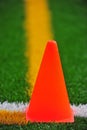 Cone on a turf field