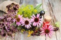 Coneflowers and dill in mortar, vial with essential oil Royalty Free Stock Photo