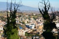 Conegliano Veneto, panoramic view and trees Royalty Free Stock Photo