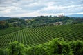 Conegliano vineyard at daylight Royalty Free Stock Photo