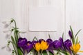 Coner from crocus and snowdrops on wooden background