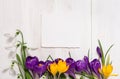 Coner from crocus and snowdrops Royalty Free Stock Photo