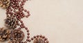 Cones and brown beads on a parchment background. Royalty Free Stock Photo