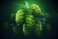 Cones of hops on a green background 2 Royalty Free Stock Photo