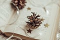 Cones lying on the book with garland