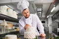Confectioner with a cake in the bakery. Royalty Free Stock Photo