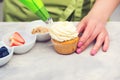 Confectioner decorating cupcakes. Cooking class, culinary and bakery. Tasty cream cheese cupcakes Royalty Free Stock Photo