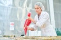 Confectionery factory employee squeezing pastry bag