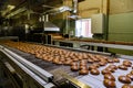 Confectionery factory. Production line of baking cookies. Glazed biscuits moving on conveyor Royalty Free Stock Photo