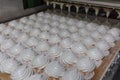 Confectionery factory production line. Zephyr and marshmallows or cream roses manufactory baking machine
