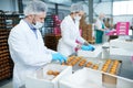 Confectionery factory workers putting pastry into boxes Royalty Free Stock Photo