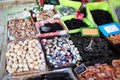 Confectionery stall at street market