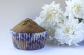 Confectionery, sweets, sweets. chocolate cupcakes, muffin cupcakes with cocoa topping on a white background. foodphoto isolate