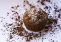 Confectionery, sweets, sweets. chocolate cupcakes, muffin cupcakes with cocoa topping on a white background. foodphoto isolate