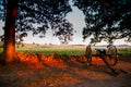 Confederate Cannon Seminary Ridge Sunset Royalty Free Stock Photo