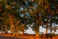 Confederate Cannons Seminary Ridge Sunset Royalty Free Stock Photo