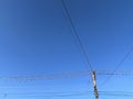 Conference. A flock of birds sits on power lines near an electric pole Royalty Free Stock Photo