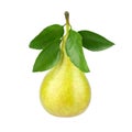 Conference pear with green leaves on white background isolated close up Royalty Free Stock Photo