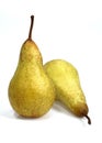 CONFERENCE PEAR pyrus communis AGAINST WHITE BACKGROUND Royalty Free Stock Photo