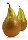 Conference Pear, pyrus communis, Fruits against White Background Royalty Free Stock Photo