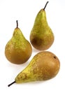 Conference Pear, pyrus communis, Fruits against White Background Royalty Free Stock Photo