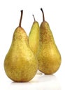 Conference Pear, pyrus communis, Fruits against White Background Royalty Free Stock Photo