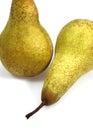 Conference Pear, pyrus communis, Fruits against White Background Royalty Free Stock Photo