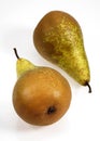 Conference Pear, pyrus communis, Fruits against White Background Royalty Free Stock Photo