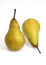 Conference Pear, pyrus communis, Fruits against White Background Royalty Free Stock Photo