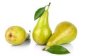 Conference pears with green leaves on white background isolated close up Royalty Free Stock Photo