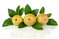 Conference pears with green leaves on white background isolated close up Royalty Free Stock Photo