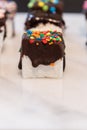 Confetti Candy and Chocolate Dipped Marshmallow Cube