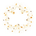 A gold glitter confetti border with fall leaves Royalty Free Stock Photo