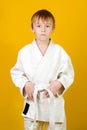Confident boy in a white karate kimono over yellow background. Sports since childhood, discipline, first place, victory. Kids Royalty Free Stock Photo