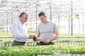 Confident businessman discussing over herb seedling with botanist in greenhouse