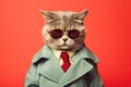 confident cool cat dressed as a spy