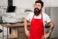 Confident and experienced chef. Hipster in kitchen. Mature male. Bearded man cook. Restaurant or cafe cook. Bearded man Royalty Free Stock Photo