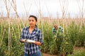 Confident female horticulturist of farm field