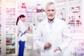 Confident grey-haired pharmacist holding his hand in the pocket Royalty Free Stock Photo