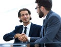 Confident handshake colleagues in the office Royalty Free Stock Photo
