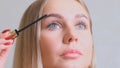 Confident happy young woman holding mascara apply on eyeleashes prepare getting ready in the morning, smiling beautiful Royalty Free Stock Photo