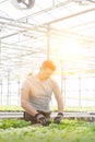 Confident male botanist working in plant nursery