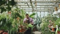 Confident male gardener watering plants at greenhouse with can. Attractive young man enjoy his job in garden Royalty Free Stock Photo