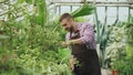 Confident male gardener watering plants at greenhouse with can. Attractive young man enjoy his job in garden Royalty Free Stock Photo