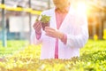 Confident male scientist examining herb in greenhouse