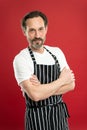 Confident mature handsome man in apron red background. He might be baker gardener chef or cleaner. Good in everything Royalty Free Stock Photo