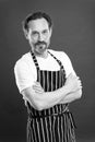 Confident mature handsome man in apron red background. He might be baker gardener chef or cleaner. Good in everything Royalty Free Stock Photo